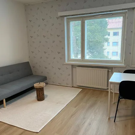 Spacious One Apartment *