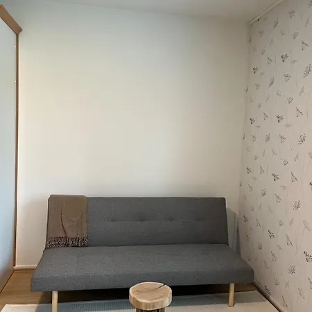 Spacious One Apartment *