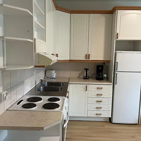 Spacious One Apartment *