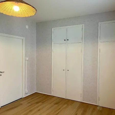 Spacious One Apartment